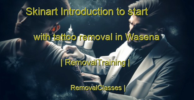 Skinart Introduction to start with tattoo removal in Wasena | RemovalTraining | RemovalClasses | SkinartTraining-Eritrea